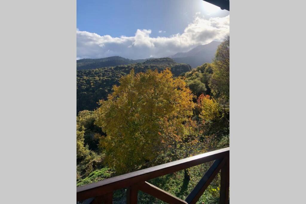 Periklis Guesthouse Anavriti. 斯巴达 外观 照片